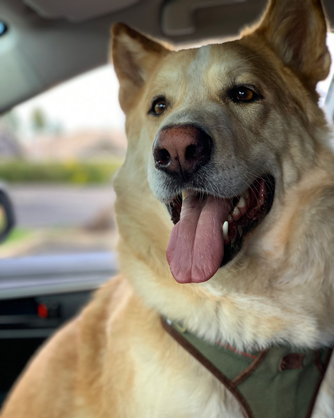 Roscoe